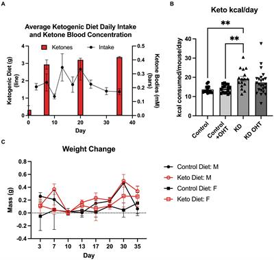 The ketogenic diet and hypoxia promote mitophagy in the context of glaucoma